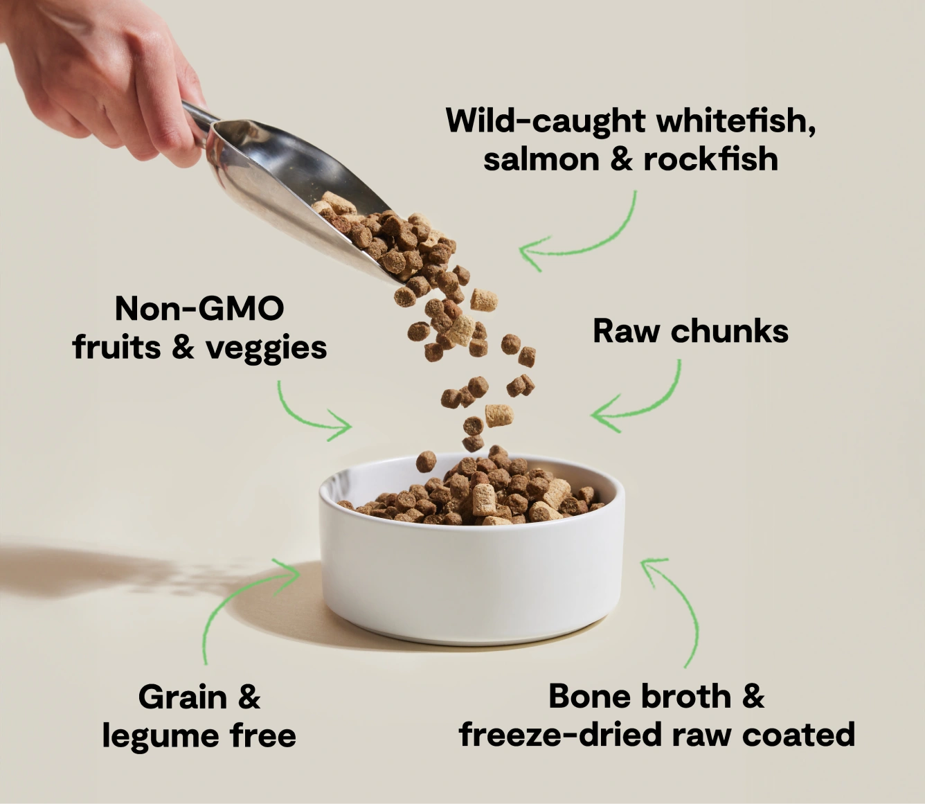 RawMix Wild Ocean: Unleash Your Cat's Inner Hunter – Grain-Free Bliss!