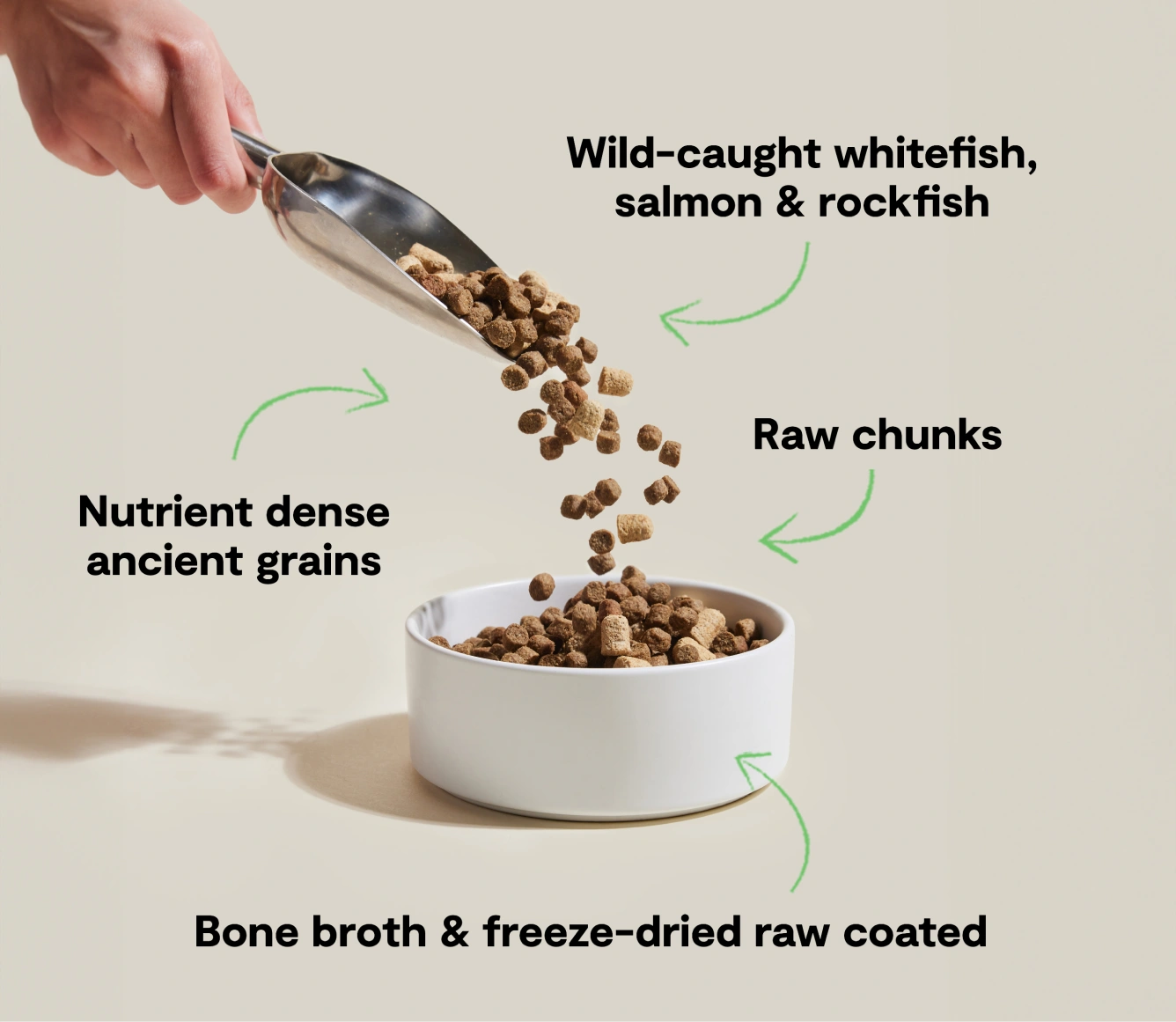 RawMix Wild Ocean Ancient Grains: Unleash Your Dog's Inner Explorer!