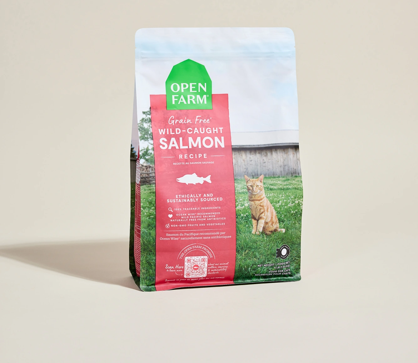 Ocean's Bounty: Wild Salmon Grain-Free Cat Food - Purrfectly Healthy & Delicious!